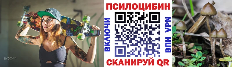 Галлюциногенные грибы мицелий Сураж